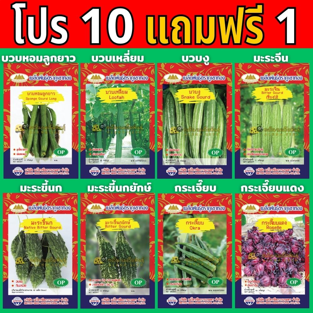 โปร10แถม1 เมล็ดพันธุ์ภูเขาทอง บวบหอมลูกยาว,บวบเหลี่ยม,บวบงู,มะระจีน,มะระขี้นก,มะระขี้นกยักษ์,กระเจี๊