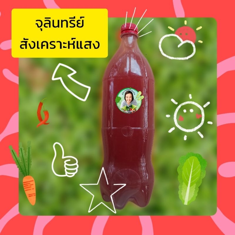 🍶🍶🍶🍶🍶 น้ำหมักชีวภาพ จุลินทรีย์ ฮอร์โมน 🍶🍶🍶🍶🍶