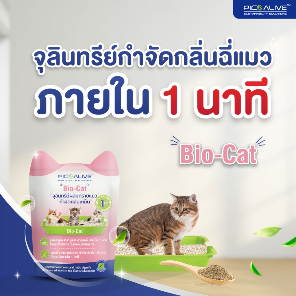 Pico Bio-Cat ดับกลิ่นฉี่สัตว์เลี้ยงภายใน 1 นาที สกัดจากธรรมชาติ %