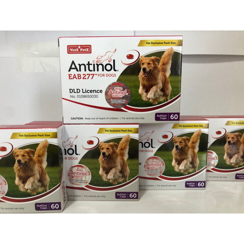 (แพ็คเกจใหม่) ของแท้ 100% Antinol EAB277 (dog) อาหารเสริม บำรุงข้อ ลดอักเสบข้อ (1 กล่อง : 60 แคปซูล) exp: 07/2024