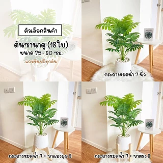 ต้นไม้ปลอมSizeใหญ่(18ใบ)พร้อมกระถาง(ฟรี!!หินโรย) ต้นซานาดู75-90ซม. ตั้งบริเวณบ้าน ข้างโซฟา ตั้งหน้าทีวี ต้นไม้มงคล