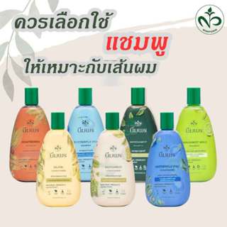 Nimporn นิ่มพร แชมพูสมุนไพร และ ครีมนวด ลดผมร่วง จากธรรมชาติ