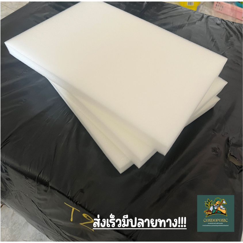 ฟองน้ำปลูกผักไฮโดรโปนิกส์ แบบใหม่ 96 ช่อง เนื้อละเอียด พร้อมใช้งาน ราคา ถูกที่สุด ดีลบีเคเค แกลเลอรีภาพที่ 3