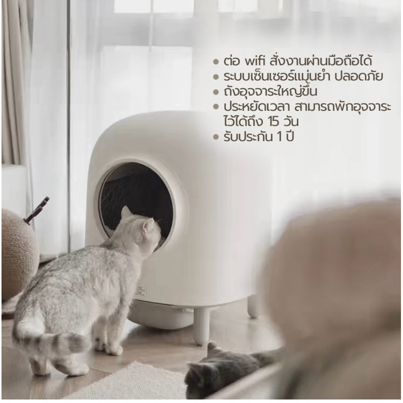 Pando x Petree Second Generation Cat Litter Box (Lite)