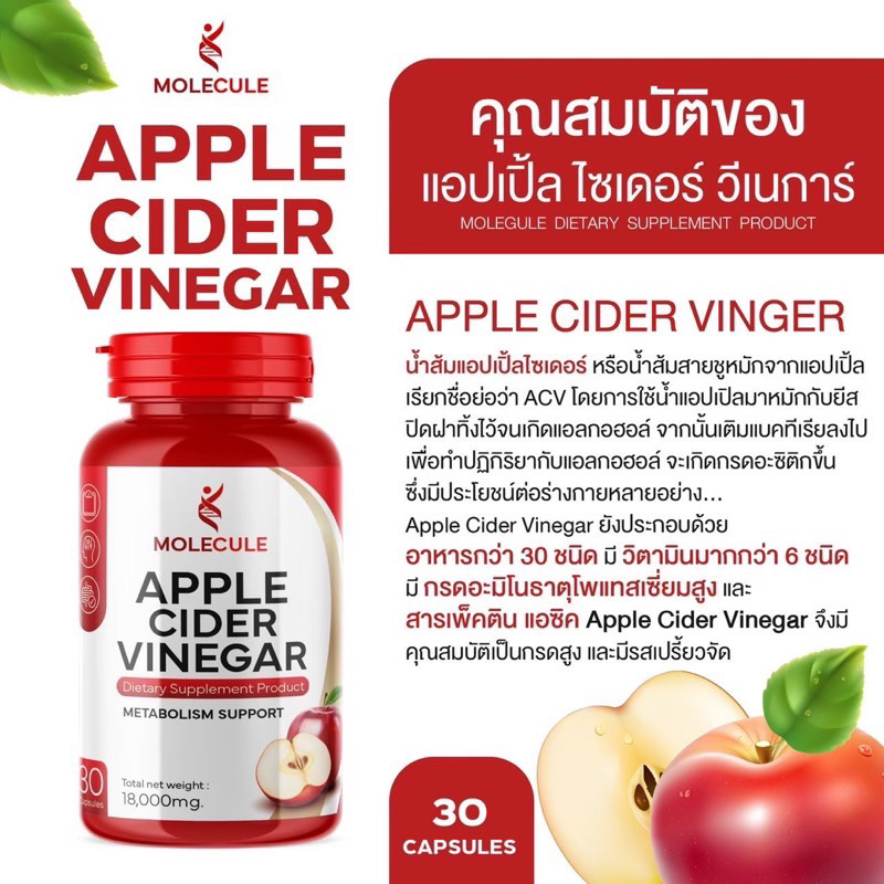 แอปเปิ้ลไซเดอร์แบบเม็ด ทานง่าย  Molecule Apple Cider Vinegar ลดหุ่น คุมหิว ลดความอยากอาหาร