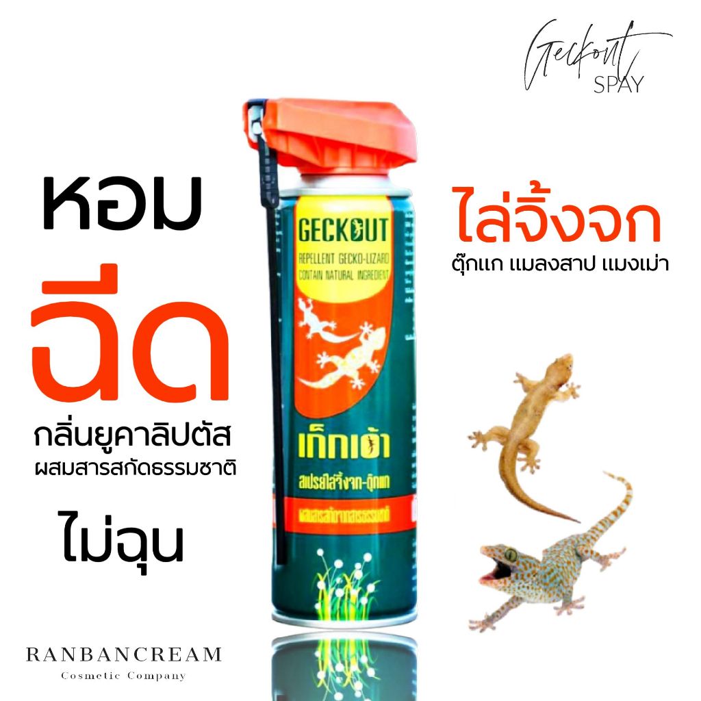 สเปรย์ ไล่จิ้งจก - ไล่ตุ๊กแก ไล่หนู ไล่มด ไล่แมลงสาป กลิ่นเปปเปอร์มิ้นท์  เก๊กเอ้า Geckout