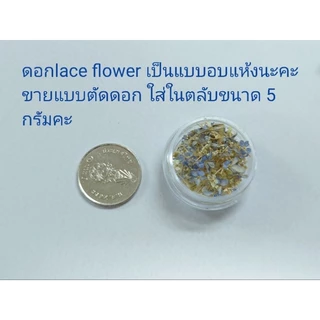 ดอกไม้แห้งขนาดเล็ก lace flowerอบ แห้งสำหรับงานฝีมือ, ติดเล็บ