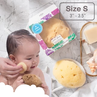 KALLA SPONGE ฟองน้ำธรรมชาติ ชนิด Fine Silk สีเหลือง ฟองน้ำ สำหรับล้างหน้าและอาบน้ำ เด็กและทารก
