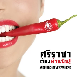 ซอสพริกไทยดำ ตราห่านบิน ขนาด 200 มล. Flying Goose Spicy Black Pepper 200ml.