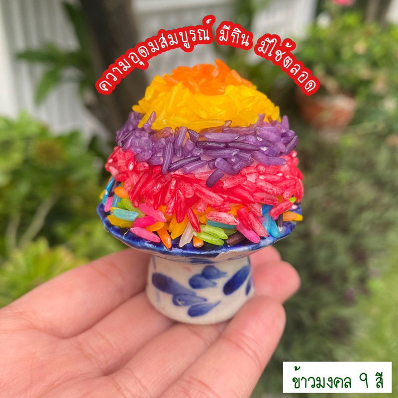 ชุดไหว้พระพิฆเนศ เทพฮินดู ข้าวมงคล 9 สี ธัญพืชมงคล 9 อย่าง รูปที่ 5
