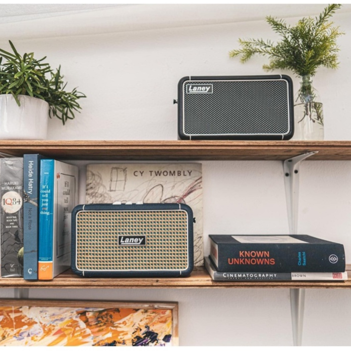 [โค้ดลด1000-✅] ลำโพง Laney F67 SUPER GROUP / LIONHEART มีแบตในตัว เชื่อม Bluetooth ได้ Speaker ใช้งา