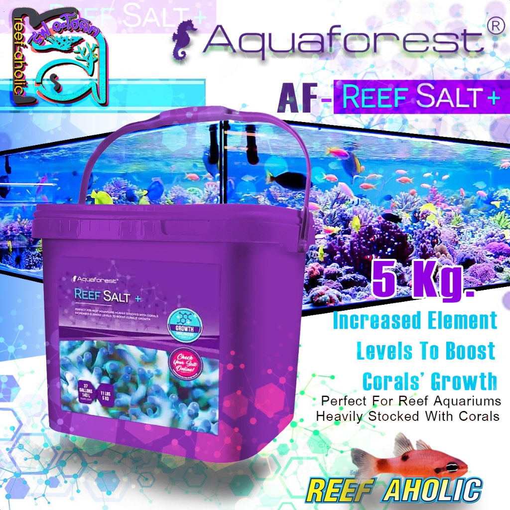 Aquaforest Reef Salt Plus+ 5 Kg เกลือทะเลสังเคราะห์สูตรเข้มข้น ล้นปริมาณแร่ธาตุ อยากเข้ม เจ้มจ้น จัด