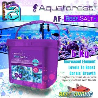 Aquaforest Reef Salt Plus+ 5 Kg เกลือทะเลสังเคราะห์สูตรเข้มข…