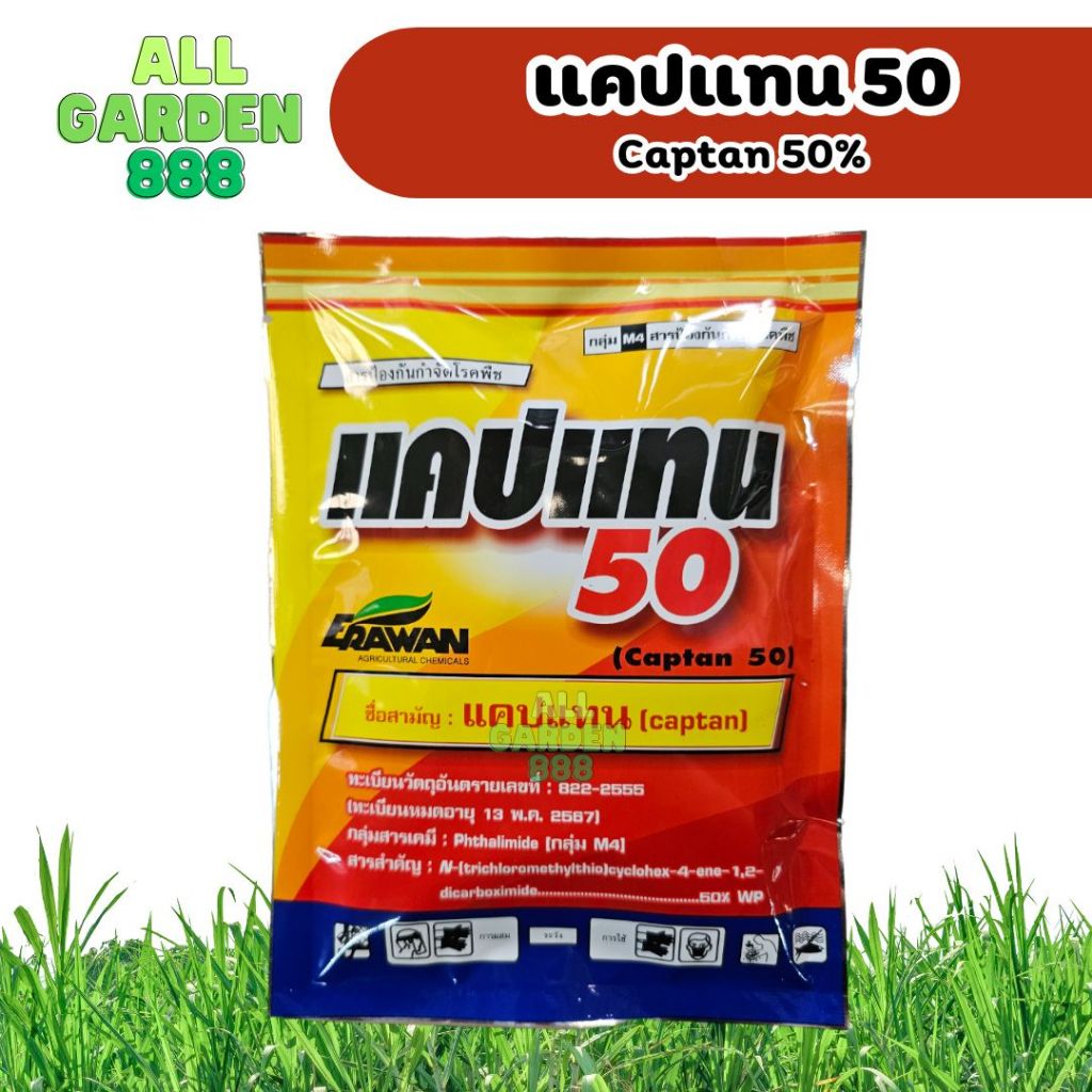 แคปแทน 80 ดับบลิวจี สารป้องกันกำจัดโรคพืชได้อย่างกว้างขวาง โรคราน้ำค้าง โรคแอนแทรคโนส