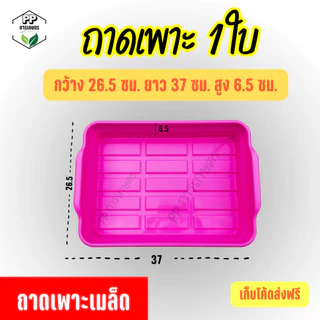 ถาดเพาะต้นกล้า ถาดเพาะผักไฮโดรโปนิกส์ ถาดเพาะเมล็ด ใส่ฟองน้ำได้พอดี (*คละสี*)