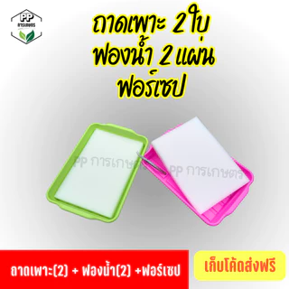 ถาดเพาะต้นกล้า ถาดเพาะผักไฮโดรโปนิกส์ ถาดเพาะเมล็ด ใส่ฟองน้ำได้พอดี (*คละสี*)
