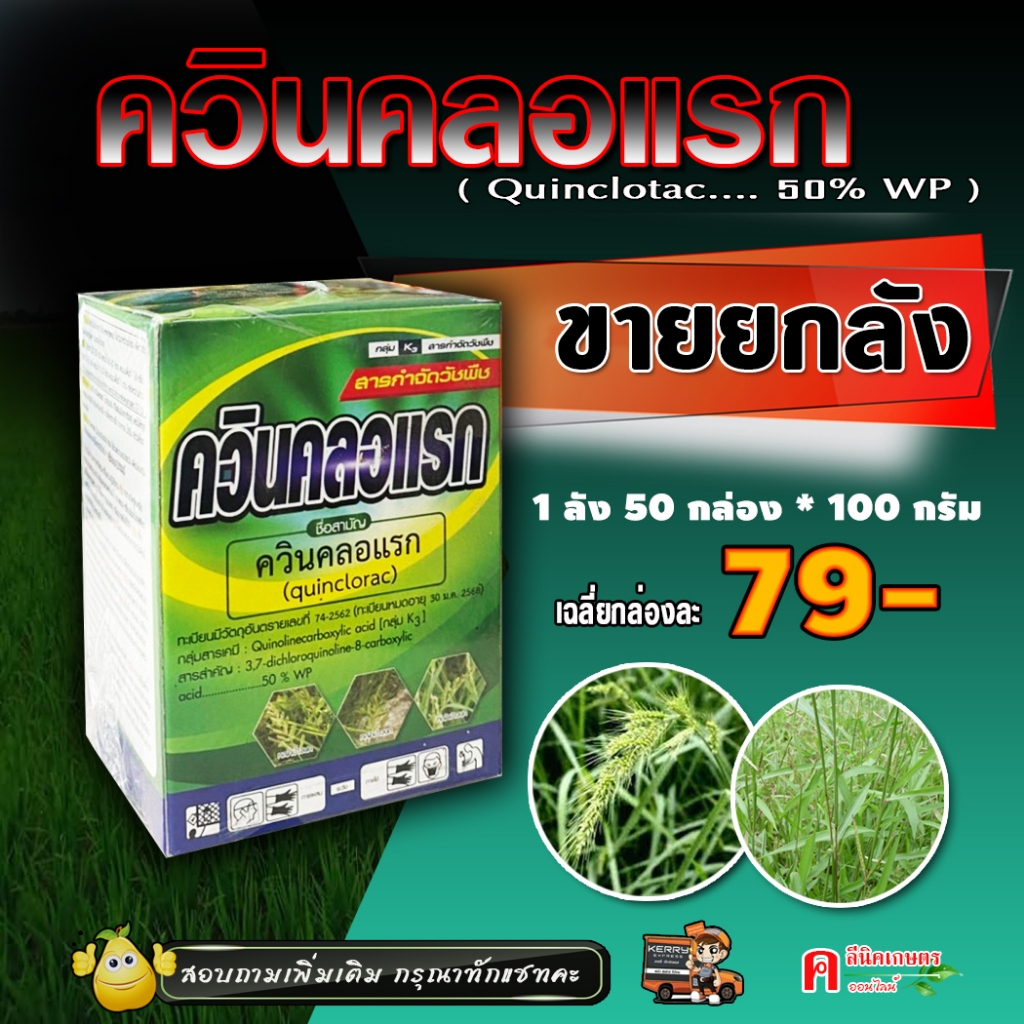 ขายยกลัง ควินคลอแรก สารกำจัดวัชพืช ในนาข้าว กำจัดหญ้าข้าวนก ลิเก กระดูกไก่ ข้าวไม่โทรม ( 50 กล่อง*100 กรัม )