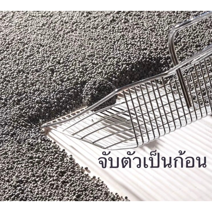 [Hamsterthailand] Yee Jonsanty Bucatstate ทรายอาบน้ำ ฉี่ หนัก500-1 kg จับตัวเป็นก้อน แฮมสเตอร์ รูปที่ 3