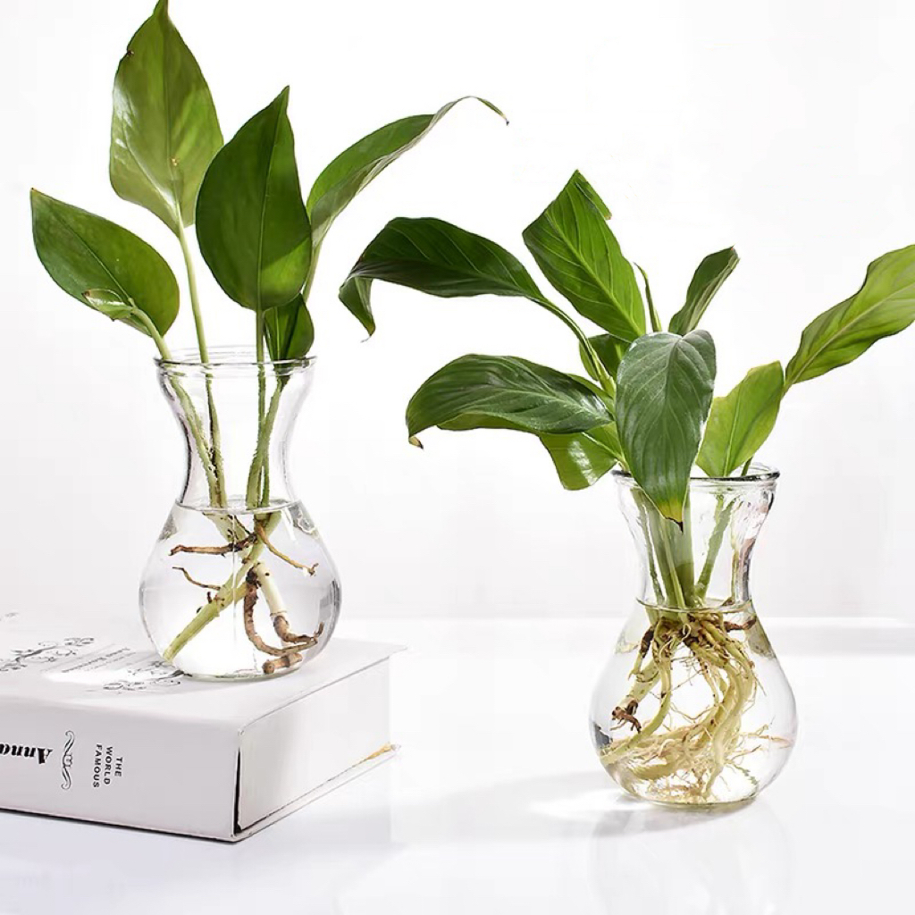 OurHome [พร้อมส่ง]แจกันแก้วGlass vaseของแต่งบ้าน ร้านกาแฟ ร้านอาหาร ตกแต่งโรงแรม อุปกรณ์ประกอบฉาก เครื่องประดับตกแต่ง ข