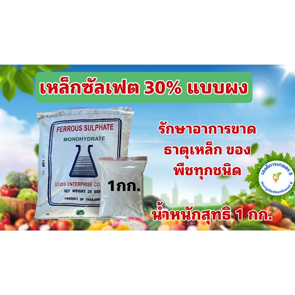 เหล็กซัลเฟต เฟอรัสซัลเฟต Ferous Sulfate แบบผง และ แบบเกล็ด แก้ใบเหลือง บรรจุ 1 กิโลกรัม