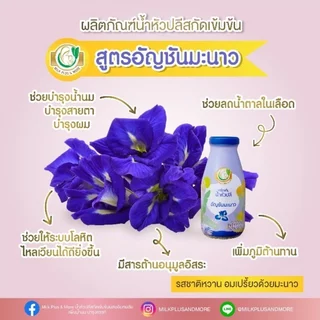 Milk Plus & More กับ Momlike น้ำหัวปลีเพิ่มน้ำนม บำรุงน้ำนม บำรุงครรภ์ กระตุ้นน้ำนม ผลิตภัณฑ์เพิ่มน้ำนม เตรียมตั้งครรภ์