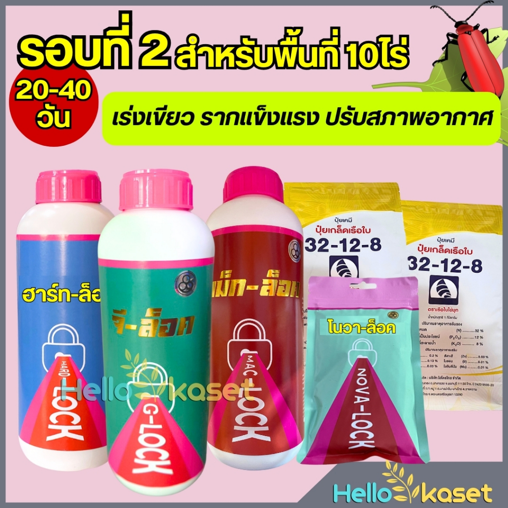 ชุดบำรุงข้าวโพด เร่งการเจริญเติบโต กอขยาย พืชแข็งแรง เร่งแตกราก รอบ 2 อายุ 20-40 วัน ชุด 10 ไร่