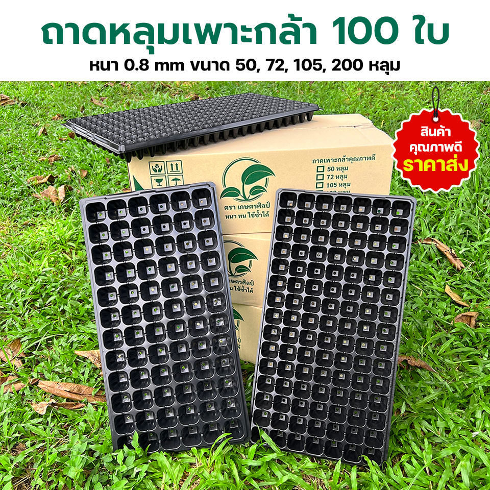 ถาดเพาะกล้า ถาดหลุม ถาดเพาะชำ ยกกล่อง 100 ใบ หนา 0.8 มิล ขนาด 21, 32, 50, 72, 105, 162, 200 หลุม