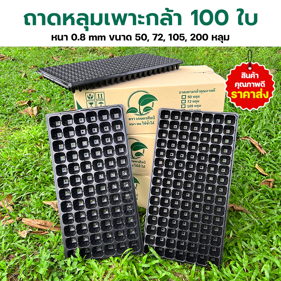 ถาดเพาะกล้า ถาดหลุม ถาดเพาะชำ ยกกล่อง 100 ใบ หนา 0.8 มิล ขนาด 21, 32, 50, 72, 105, 162, 200 หลุม