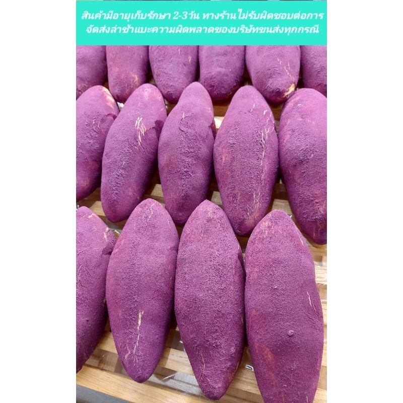 ขนมปังมันหวาน sweet potato bun  แซงเอตัวล ราคา/1ชิ้น