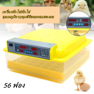 ตู้ฟักไข่ถูกๆ 7-56ฟอง ตู้ฟักไข่อัตโนมัติ รับประกัน คลิปสอนงาน เครื่องฟักไข่ไก่ เป็ด นก นกกระทา สัตว์ปีก ของแถมครบเซ็ต