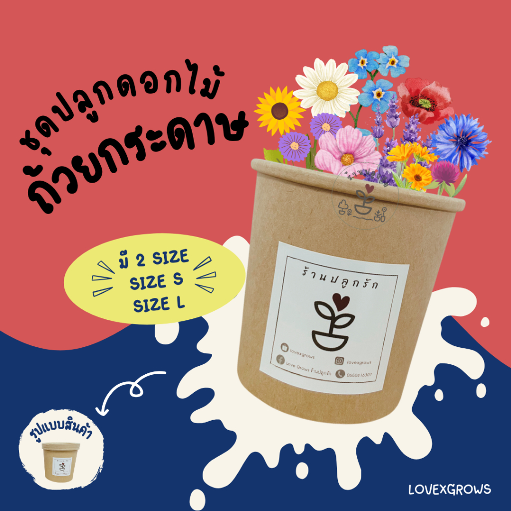 LXG : ชุดพร้อมปลูกดอกไม้ในถ้วยกระดาษ มีดอกไม้หลายชนิด ชุดปลูกดอกไม้เซ็ทของขวัญ มี 3 ขนาด คือ size Mini,S,L ของขวัญ