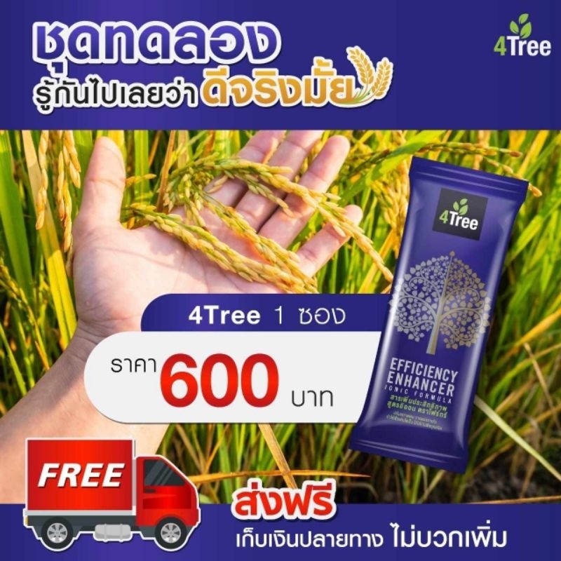 4Tree โฟร์​ทรี​ 1​ ซอง​ (ใช้​ได้​ 15-20 ไร่)​ สารเพิ่มประสิทธิภาพพืช​ ใช้ได้กับพืชทุกชนิด ของแท้​