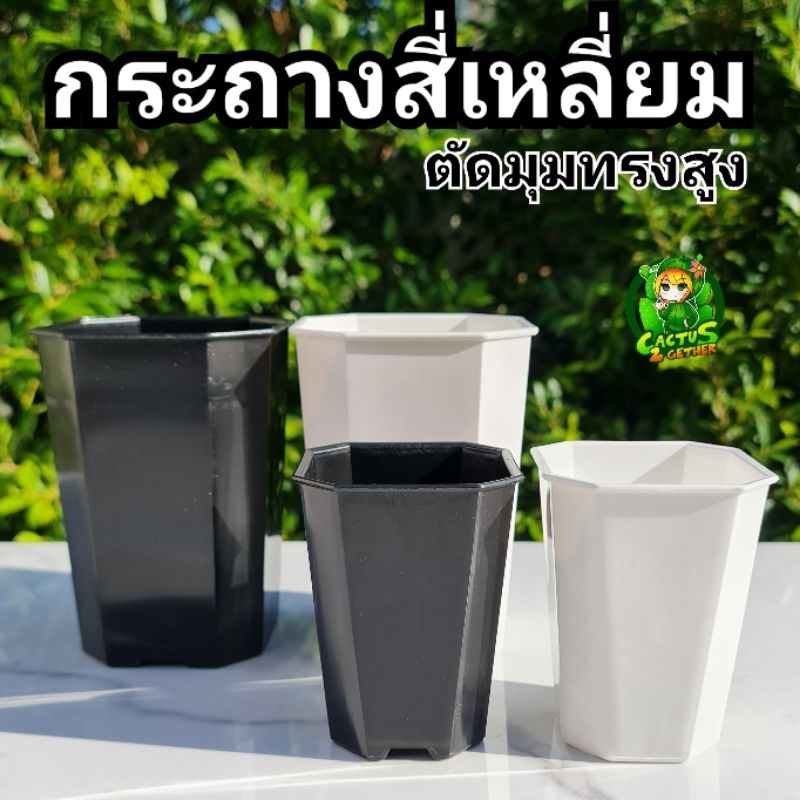 กระถางสี่เหลี่ยม ตัดมุมทรงสูง กระถางแคคตัส กระถางพลาสติกเนื้อเงา