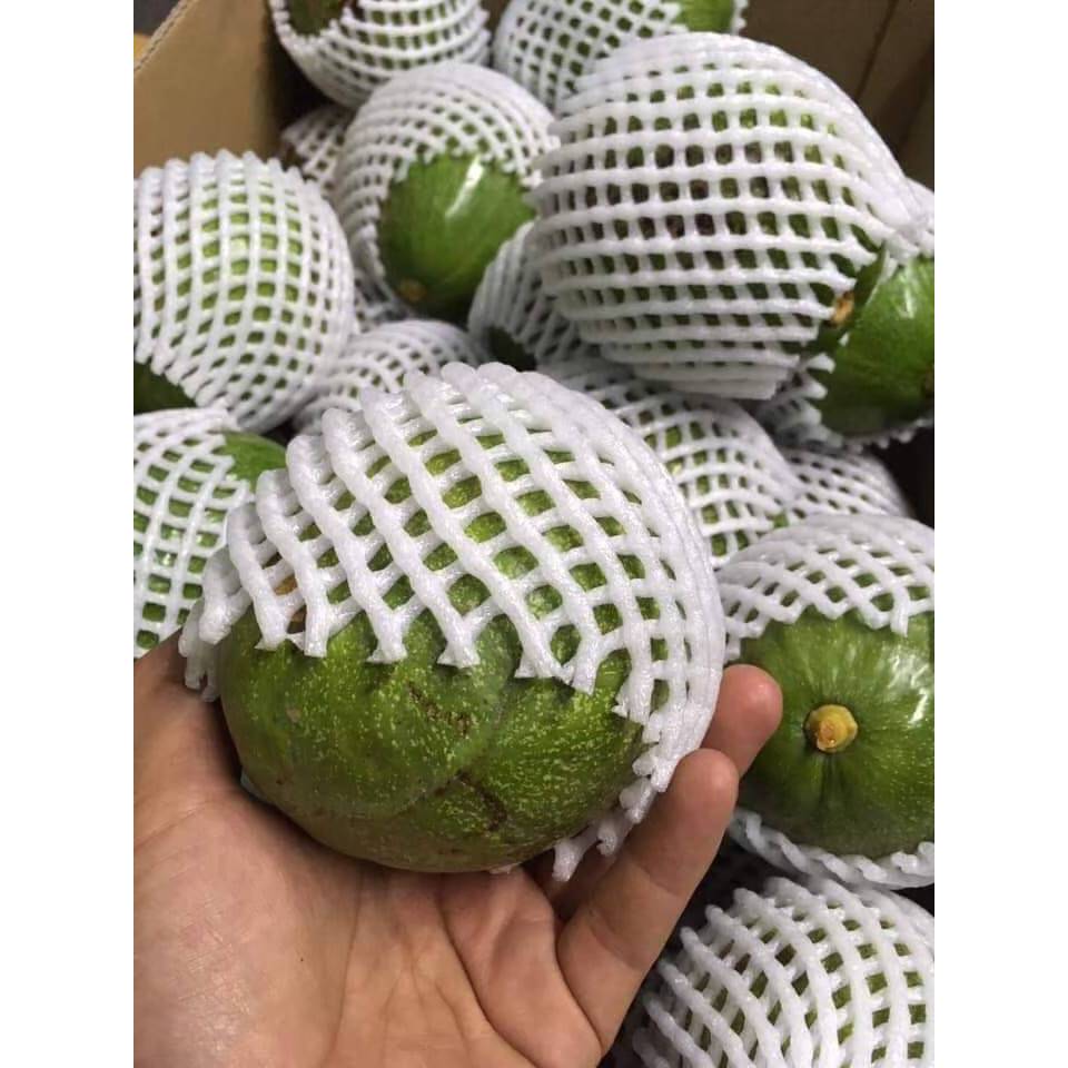 (1,000ชิ้น)ตาข่ายโฟม S14cm. ถุงละ 1,000ชิ้น ตาข่ายเน็ต โฟมห่อผลไม้ กดสั่งออเดอร์ละ 1 ถุง - รูปที่ 2