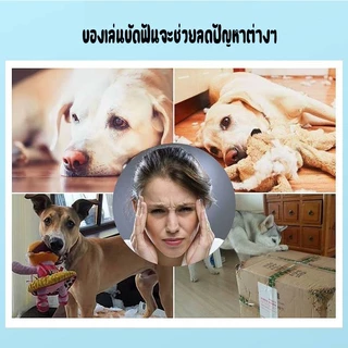 ของเล่นสุนัข เชือกกัดสุนัข เชือกกัดสำหรับหมา เชือกกัดสำหรับหมา แบบเซตสีเขียว