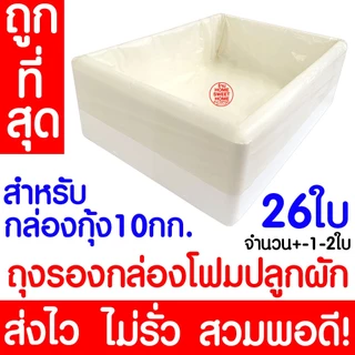 *ค่าส่งถูก* ถุงรองกล่องโฟม ถุงดำรองกล่องโฟม ปลูกผัก กล่องโฟม Outlet