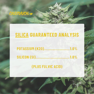 1000ml ซิลิกา (Silica + Fulvic) ธาตุซิลิกาเสริมความแข็งแรง เพิ่มขนาดกิ่ง ก้าน และลดการหดตัว สารอาหารเข้มข้น - Chemrich