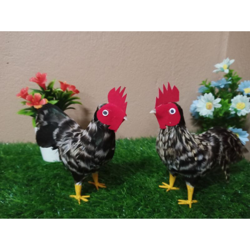 ไก่ขนจริง ไก่ชน ไก่บูชาไอ้ไข่ คู่ละ 169 บาท
