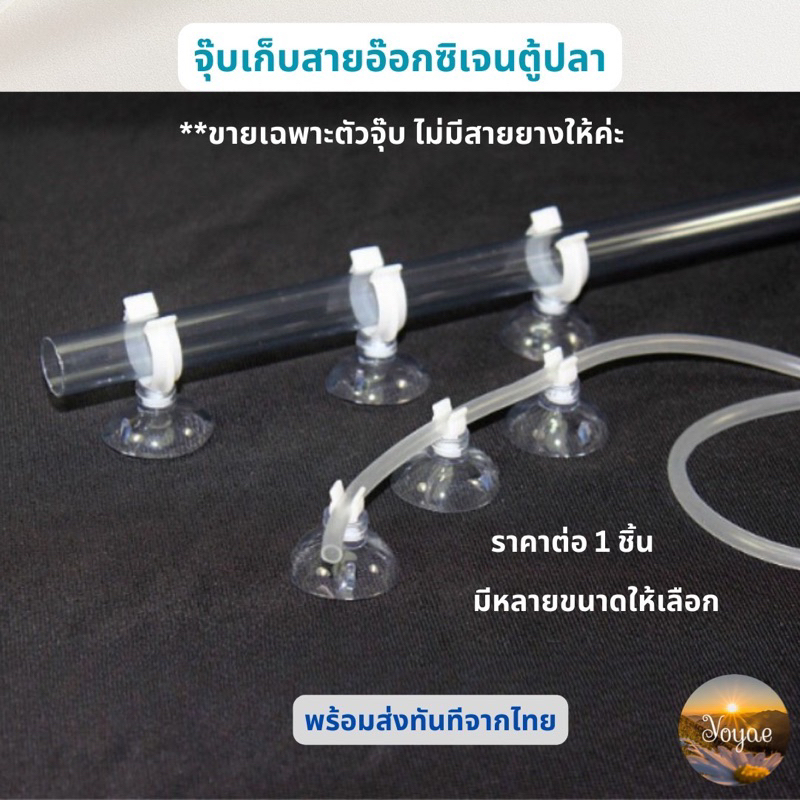 จุ๊บตู้ปลา จุ๊บยางติดตู้ปลา สำหรับจัดเก็บสายอ๊อกซิเจน มีหลายขนาดให้เลือก จุ๊บยางใสขนาด 3 ซม. ตัวจับสีขาว