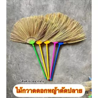 ไม้กวาดดอกหญ้า รุ่นหนา (ตัดปลาย) ยกมัด 10 และ 20 ด้าม งาน OTOP ทากาว ด้ามพลาสติกเกรด A