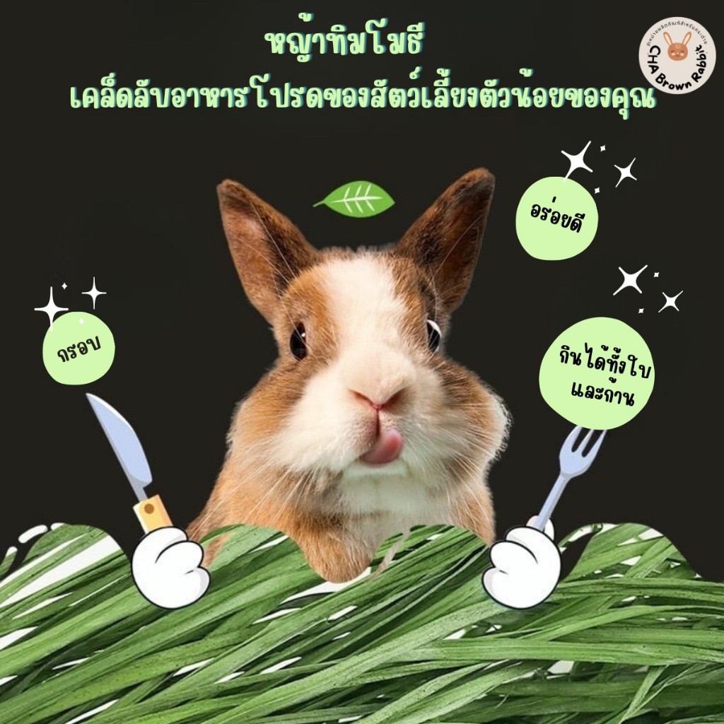 หญ้ากระต่าย หญ้าทิโมธีอบลมร้อน Super Premium Timothy Grass แบบใบก้านสั้น ใบก้านยาว 1Kg.หญ้าทิมโมธี - รูปที่ 5