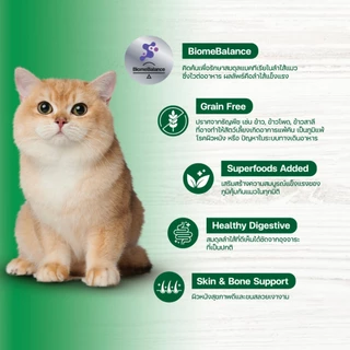Lifemate Grain Free อาหารแมวโต สูตรแมวเลี้ยงในบ้าน ขนาด 360 กรัม (C41)