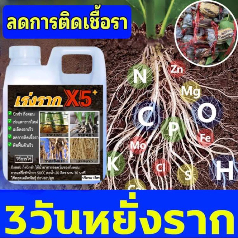 น้ำยาเร่งราก X5 บำรุงต้นไม้ใบเขียว เร่งแตกรากใหม่ ขนาด 1 ลิตร