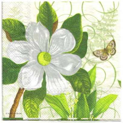 Pladao Napkin ภาพวินเทจ ดอกแมกโนเลีย กับผีเสื้อ บนโปสการ์ด กระดาษ แนพกิ้น สำหรับงานศิลปะ เดคูพาจ decoupage ขนาด L 33x33