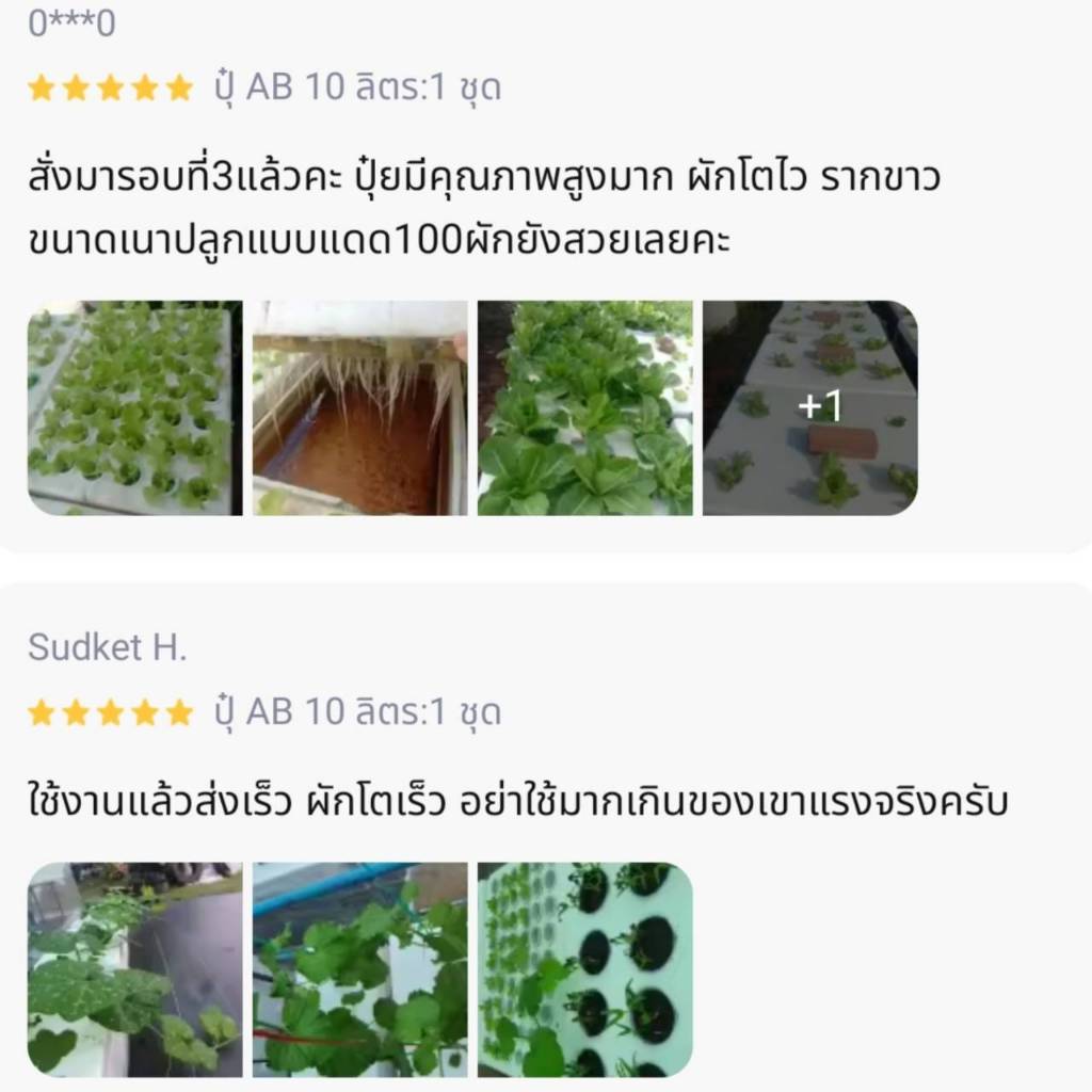 รูปภาพ 4