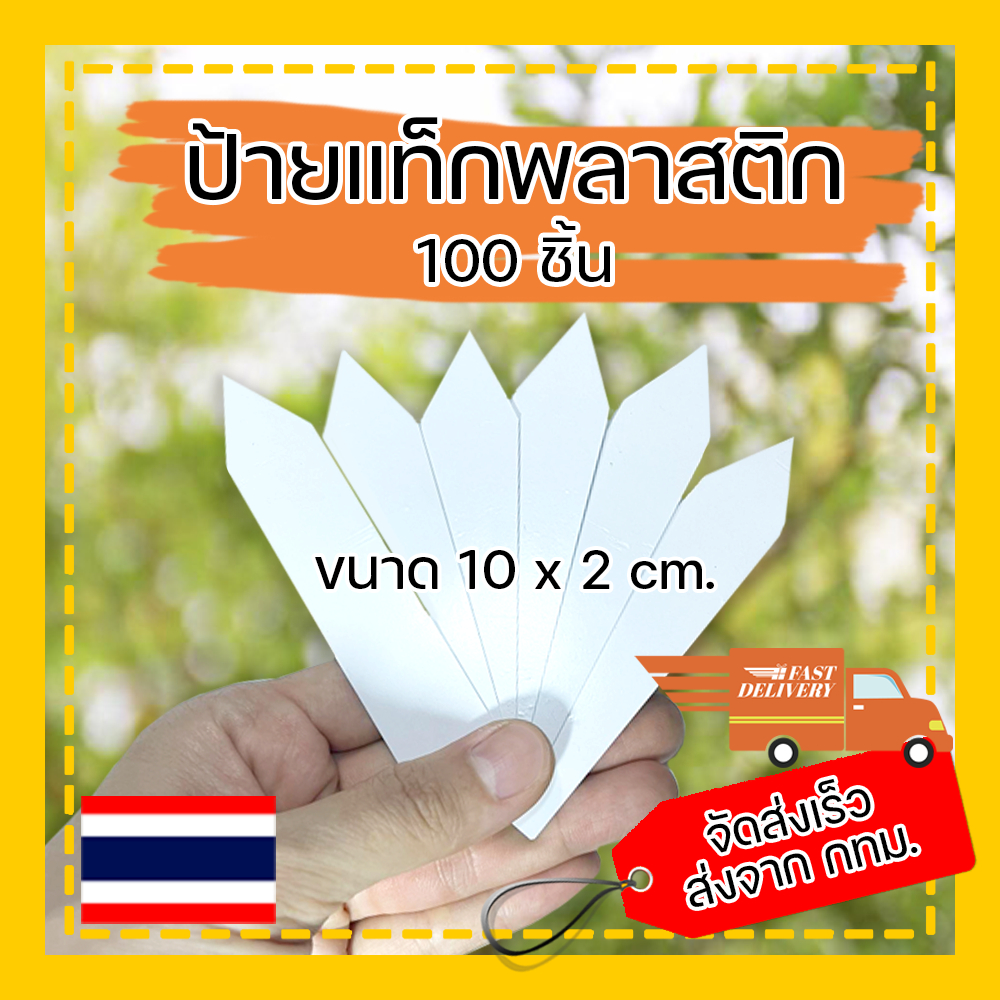 ป้ายแท็ก พลาสติก สีขาว ( 100 ชิ้น ) ขนาด 10x2 cm. ป้ายแท็กต้นไม้ กระบองเพชร ป้ายชื่อต้นไม้