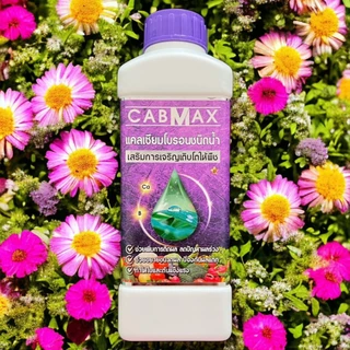 แคลเซียมโบรอน CABMAX ธาตุอาหารพืช สูตรเข้มข้น ผลดกเซลล์พืชแข็งแรง (โปรสุดคุ้ม 2 ลิตร) C2