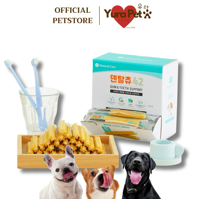 Natural Core Dental Chew 42 รสนม นำเข้าจากเกาหลี ขนมขัดฟัน กระดูก