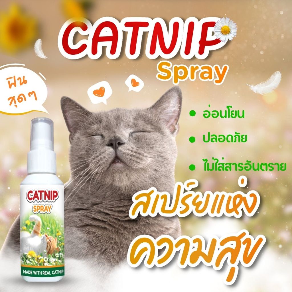 สเปรย์หญ้าแมว สเปรย์แคทนิป แมวฟิน อารม์ดี ลดความเครียด แคทนิป หญ้าแมว ปลอดภัยเลียได้ 60 ml.