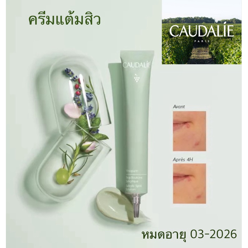 Caudalie Vinopure Stop Bouton Salycilique 15ml ครีมแต้มสิว แท้ จากฝรั่งเศส